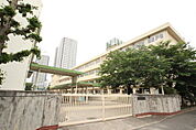 小学校「広島市立白島小学校まで341ｍ」