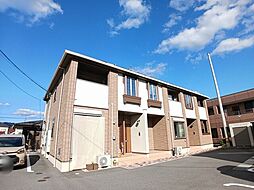 サン・イルミ　IV