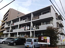 ロイヤルシマモト