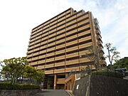  8階 築34年1ヶ月の賃貸物件