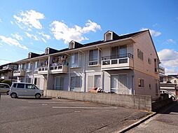 ゴールドトロフ