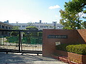 小学校「広島市立中島小学校まで498ｍ」