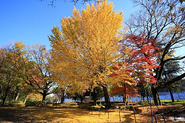 横川下原公園迄380ｍ