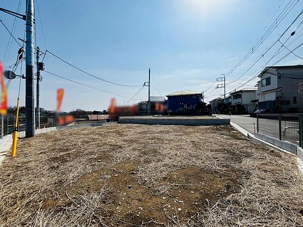 【2025年3月撮影】