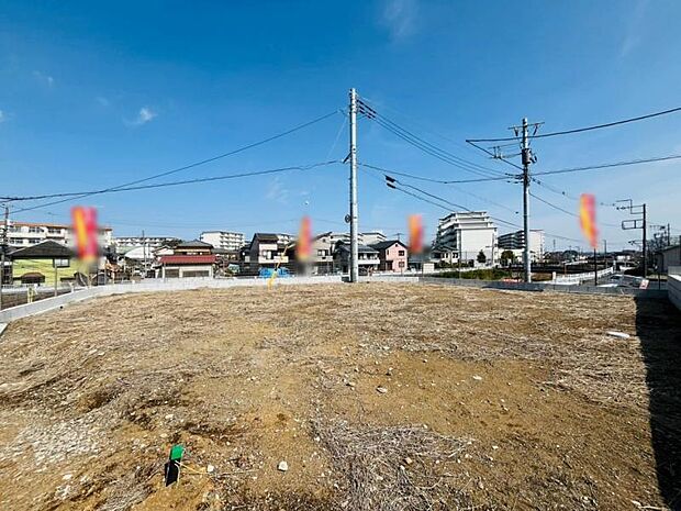 【2025年3月撮影】