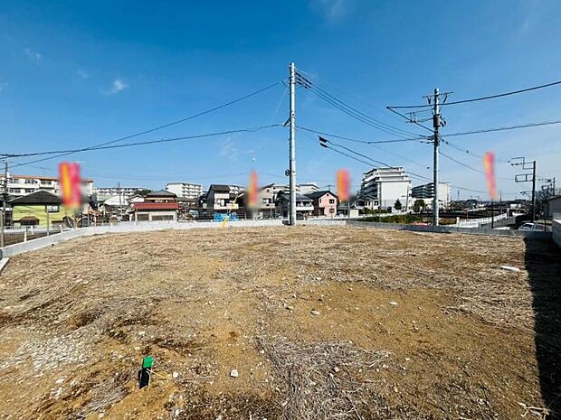 【2025年3月撮影】