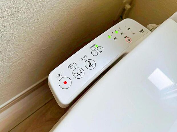 【2026年01月撮影】