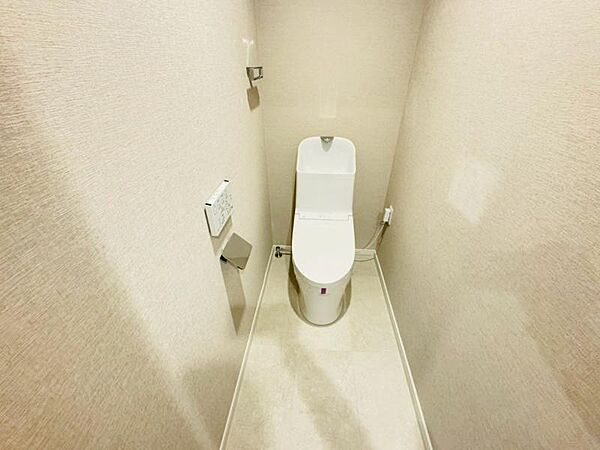 【2025年11月撮影】