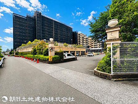 【2026年05月撮影】