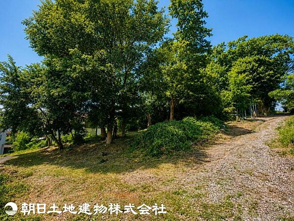 外観：313004848090