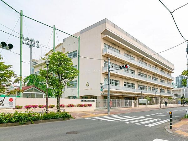 八王子市立第三小学校迄540ｍ
