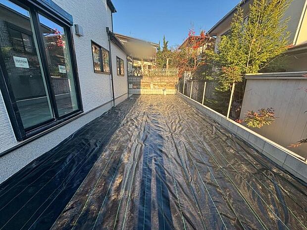 【2025年11月撮影】