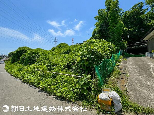 【2026年7月撮影】