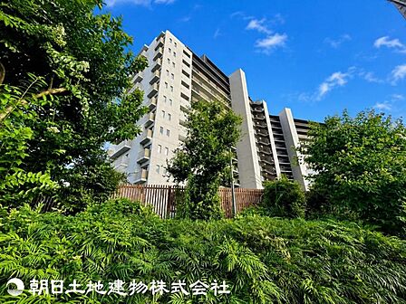 【2026年7月撮影】