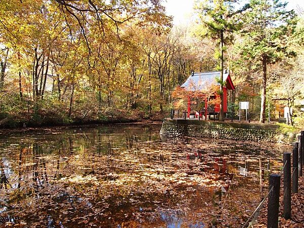 小宮公園迄100ｍ
