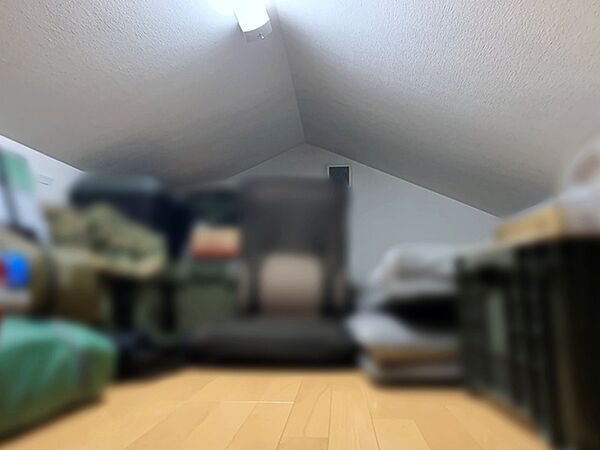 小屋裏収納があるので季節の家電や、布団、衣替えの衣類などを沢山収納することができます。
