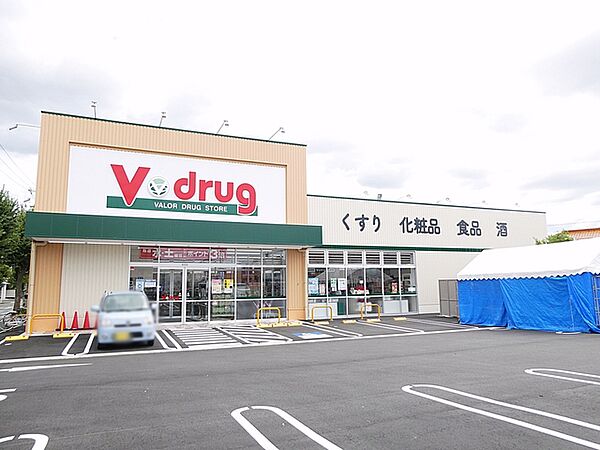Vドラッグ豊橋西岩田店（490m）