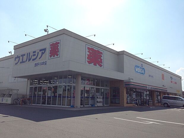 ウエルシア豊橋平川本町店（250m）