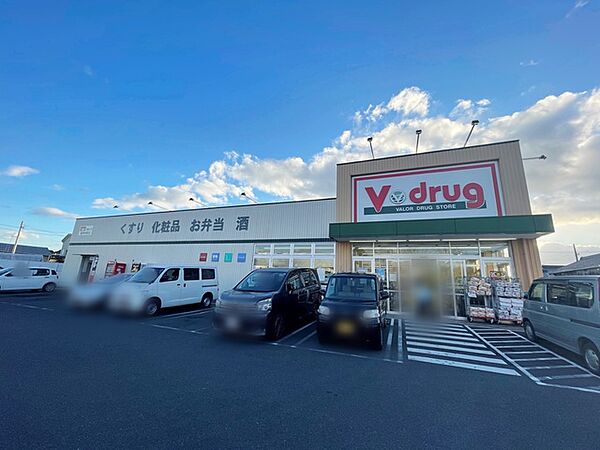Vドラッグ豊橋牧野店（250m）