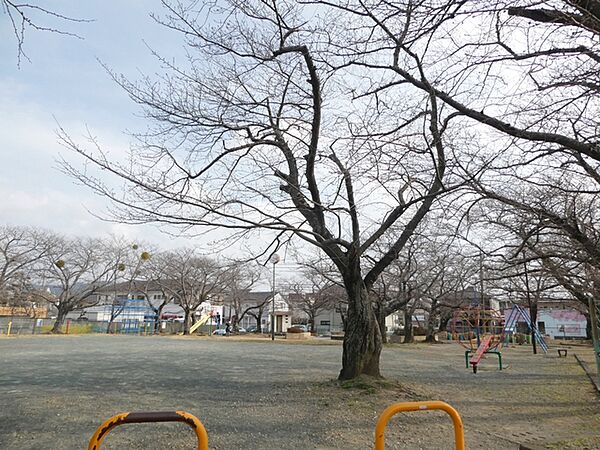 横手公園（270m）