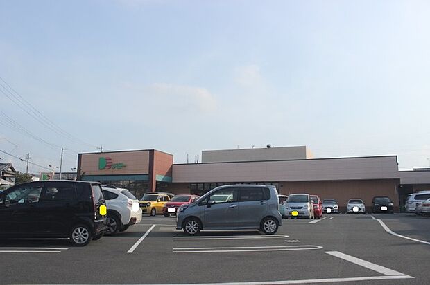 ドミーつつじが丘店（450m）