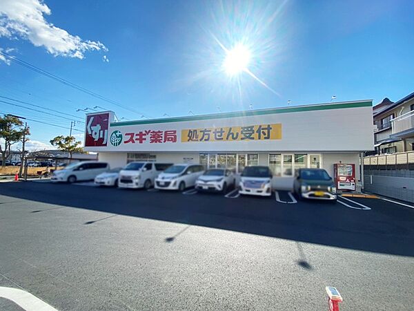 スギ薬局飯村東店（350m）