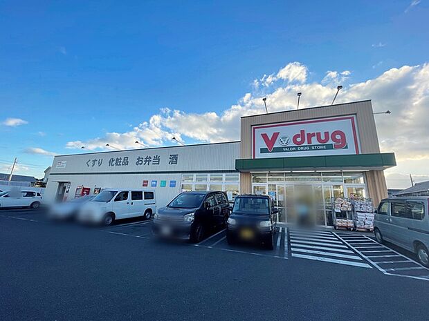 Vドラッグ豊橋牧野店(540m)