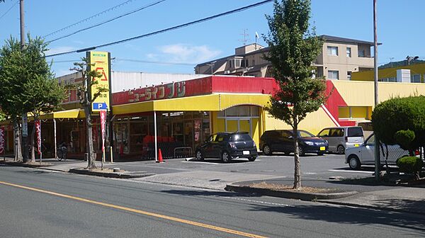 ニューライフフジ岩田店（3120m）