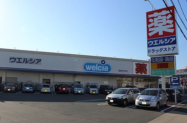 ウエルシア 豊橋花中町店(490m)