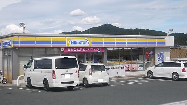 ミニストップ豊橋東幸町店(520m)