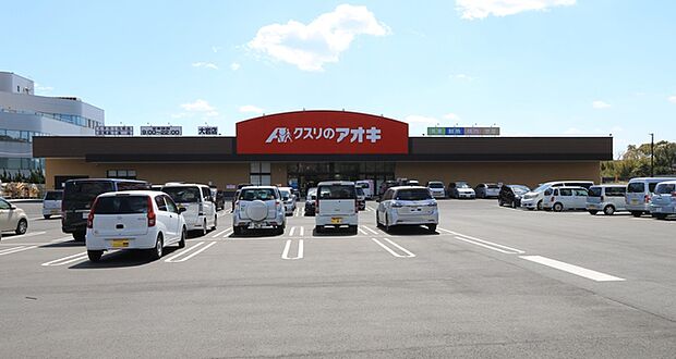 クスリのアオキ大岩店(1130m)
