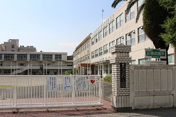 八町小学校（570m）