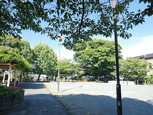 向山台町公園（270m）