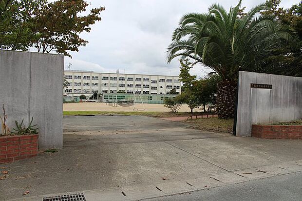 石巻中学校(4610m)