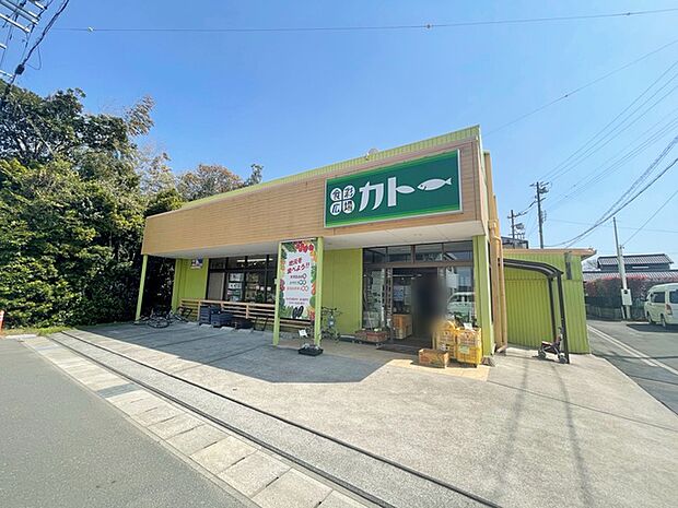 フードショップカトー（6100m）