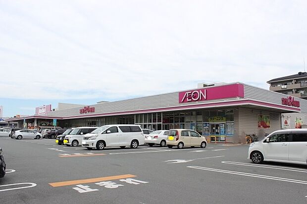 マックスバリュ豊橋橋良店（740m）