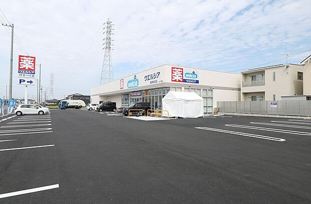 ウエルシア豊橋牟呂店（250m）