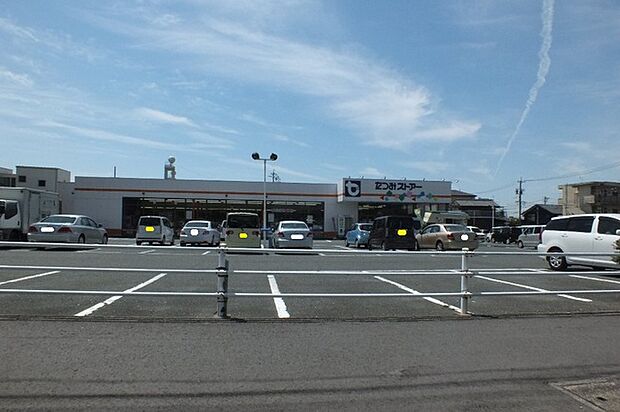 たつみストアー二川店(510m)