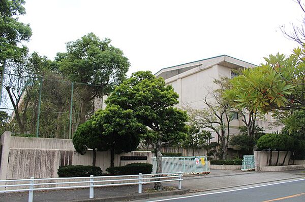 富士見小学校（340m）