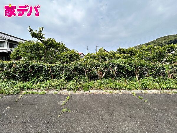 外観：323000509344