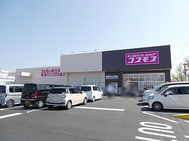 コスモス小向店(690m)