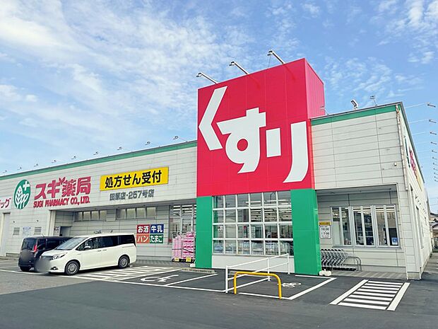スギ薬局田原店(700m)