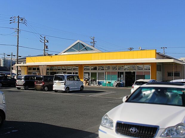 フードショップコロナ小坂井店(3060m)