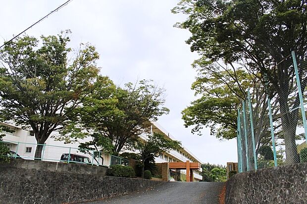 芦原小学校(670m)
