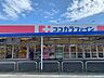 周辺：ココカラファイン田原店（1070m）