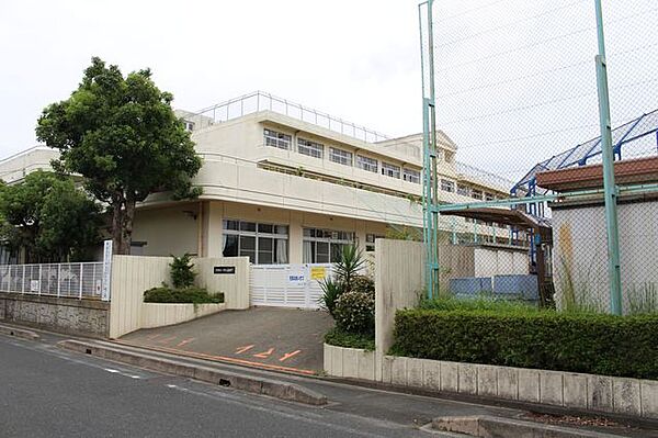 羽根井小学校（300m）