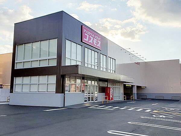 コスモス中岩田店（630m）