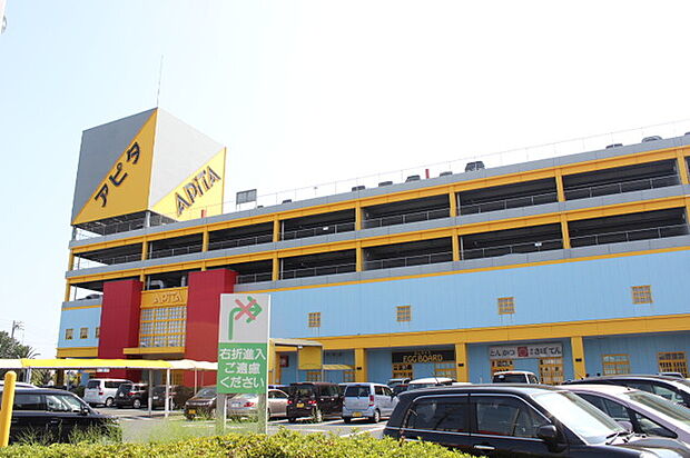 アピタ向山店(950m)