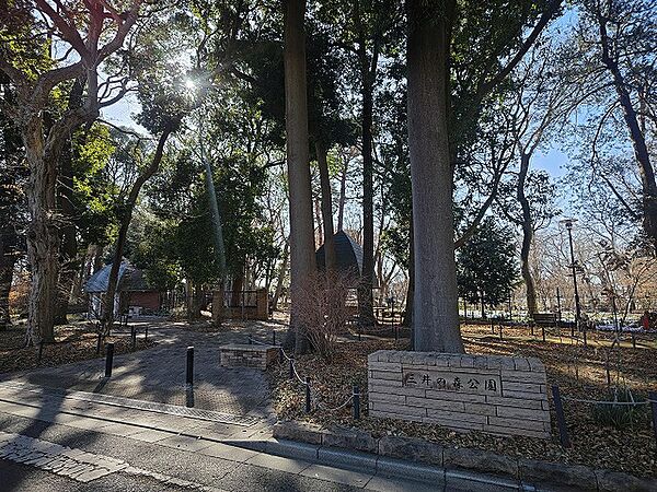 マンションの目の前が広大な敷地に豊かな自然を残す公園があります！森林力を楽しめます♪