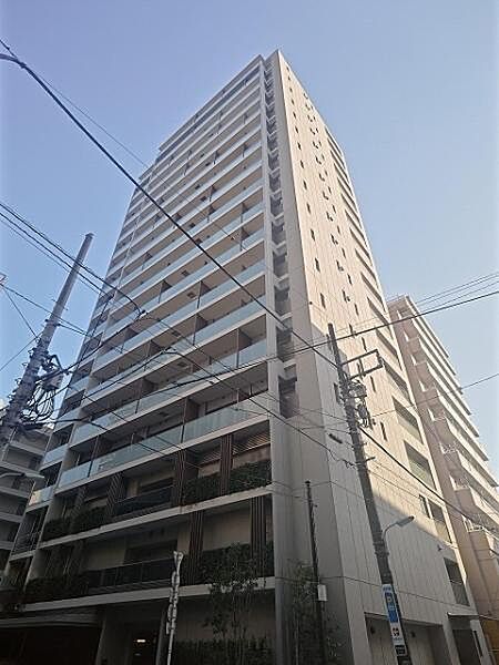 外観：313004859067